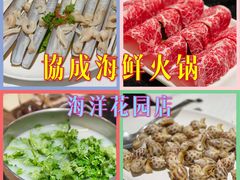-协成海鲜火锅(海洋花园店)