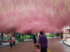 -郑州方特梦幻王国