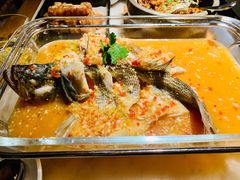 -佬肥猫(国华广场店)