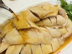 -文东记(马里士他路)