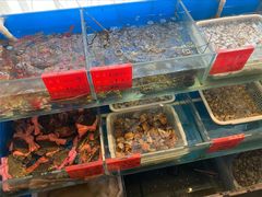 -华盛丰温州大排档(东三环南路店)