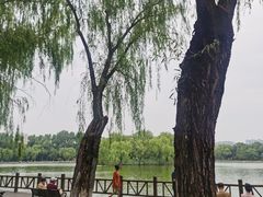 -二一九公园