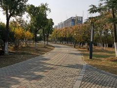 -天鹅湖体育公园