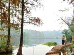 -重庆彩云湖湿地公园