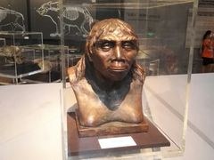 -北京周口店北京人遗址博物馆