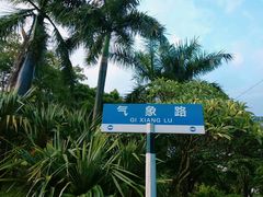 -东莞植物园