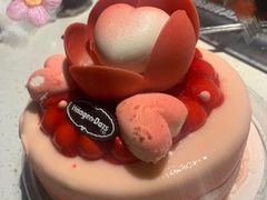 -哈根达斯(合肥天鹅湖店)