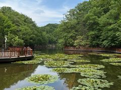 -洛阳白云山景区