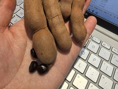 -万松园美食街