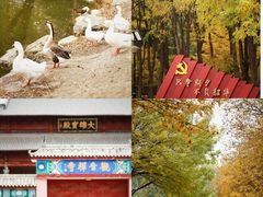 -古塔公园