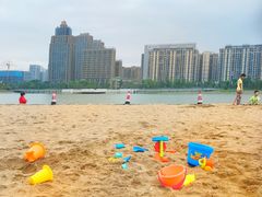 -金沙湖公园