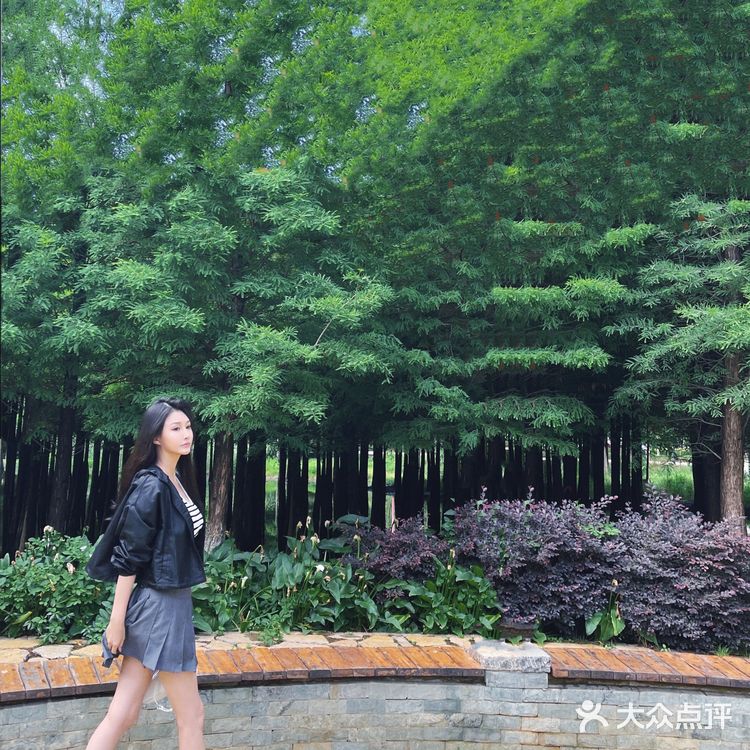 打卡 昆明海洪湿地