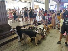 景点-黄兴南路步行商业街