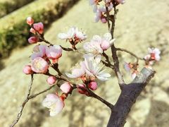 -朝阳公园