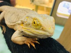 -藦茜花园宠物主题亲子互动体验馆(国顺东路店)