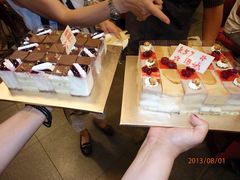 两款蛋糕-维尔纳斯·生日蛋糕动物奶油冰淇淋蛋糕(人大店)
