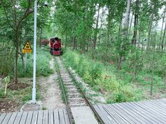 -合肥滨湖国家森林公园