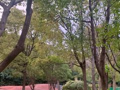 -黄兴公园