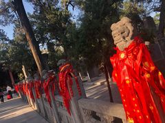 -关林