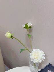 -上海玫瑰医疗美容医院