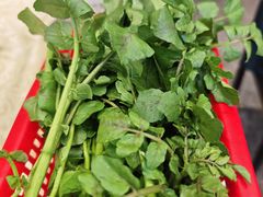 -老东风菜馆·羊肉火锅·海鲜·砂锅粥