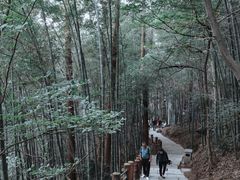 -敬亭山风景名胜区