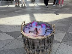 -库肯霍夫公园