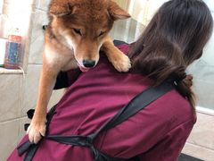 -美联众合动物医院·24h京西诊疗中心