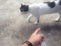 -小象钓虾·营地烧烤(洛溪店)