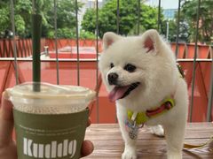 -KUDDO COFFEE(天河城店)