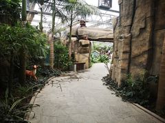 -南宫五洲植物乐园