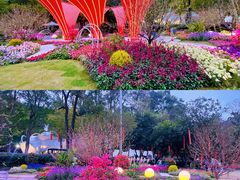 -广州市白云山风景名胜区