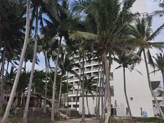 -东郊椰林