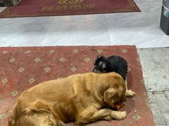 -仲雅水果大卖场(仲雅苑店)