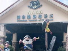 -重庆海昌加勒比海水世界