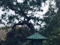-秋霞圃