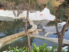 -清境桃源