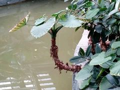 -龙达温泉生态城