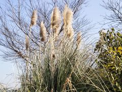 -九里河湿地公园