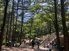 -洛阳白云山景区