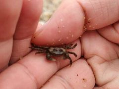 -聚德福海鲜家常菜(刘庄店)