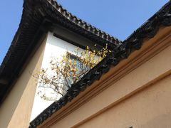 -无锡梅园公园