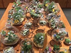 -矢量咖啡(万象汇店)