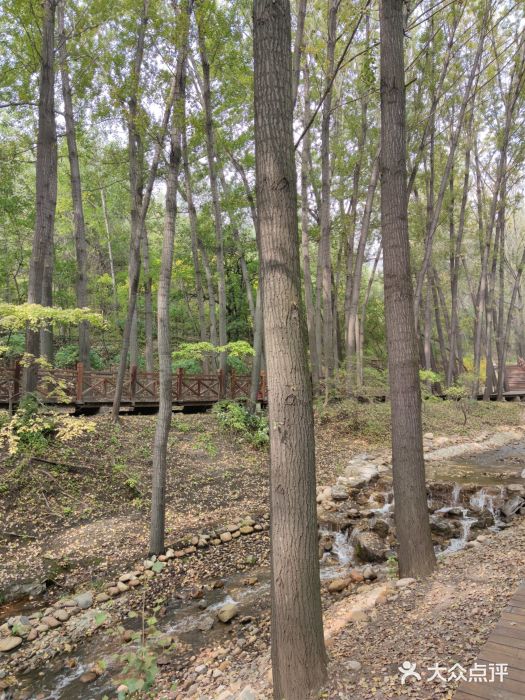 蒙山大佛景区图片