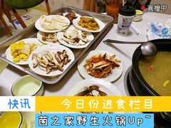 -菌之家·专业纯野生菌火锅·特色炒菌