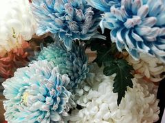 -双季花艺园艺市场(浦东店)