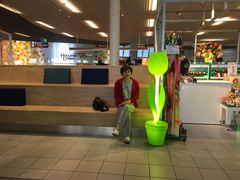 -阿姆斯特丹史基浦机场