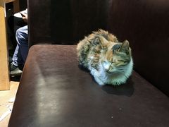 大堂-真真鲜馄饨店(启蒙路店)