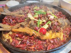 -老板恋上鱼(印象城店)