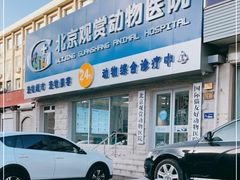 -北京观赏动物医院·24小时大型综合·猫专科·异宠专科